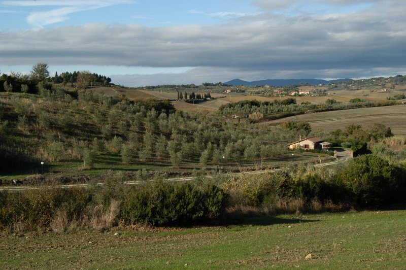 BIBBONA CAMPAGNA